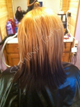 solid color and partial foils